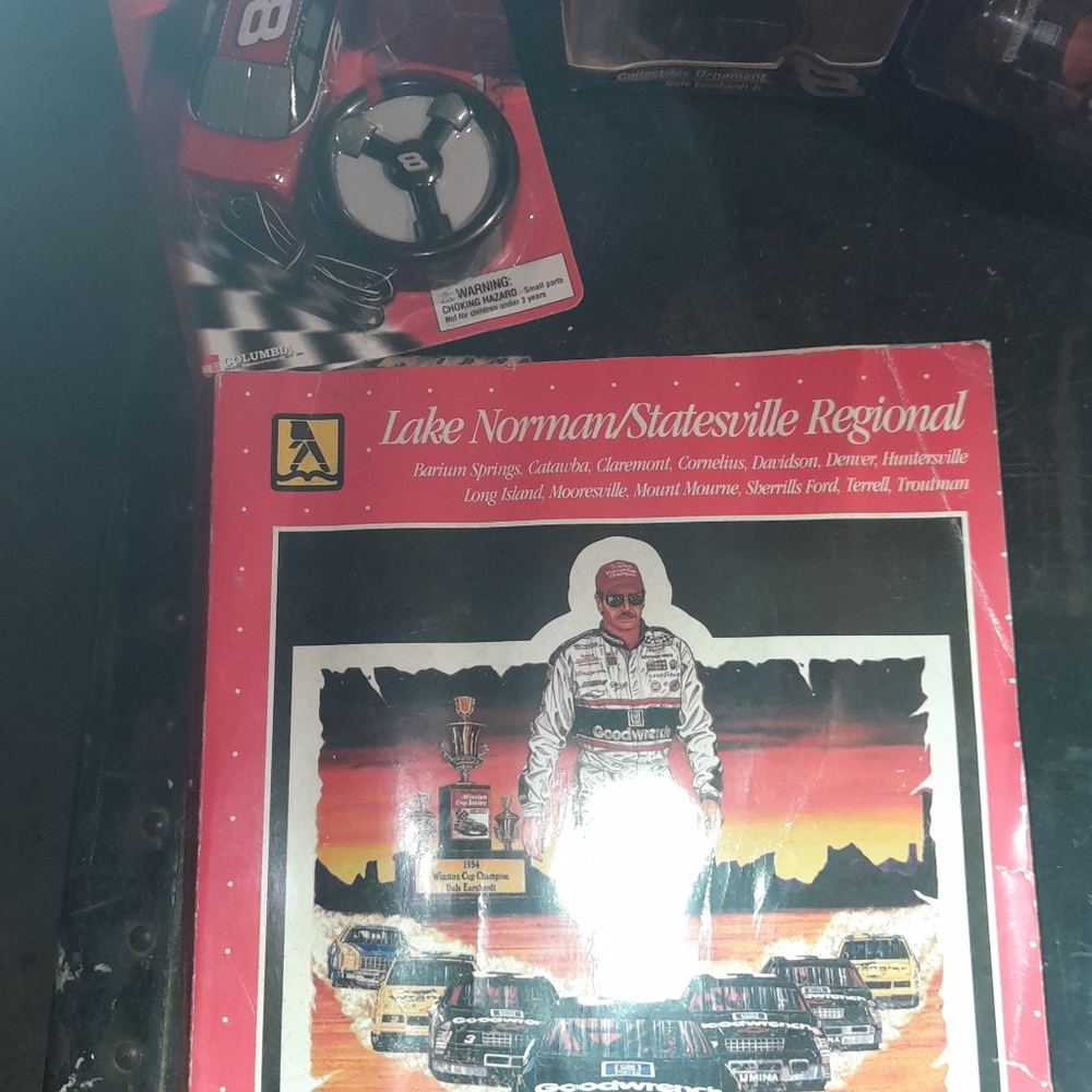 Dale EarnhardtSr & Jr Racing stuff - Picture 5 of 7